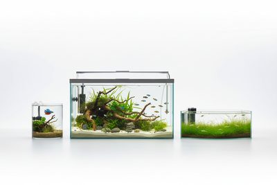 Aquariums & Fish Tanks
