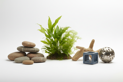 Tank Decorations & Ornaments