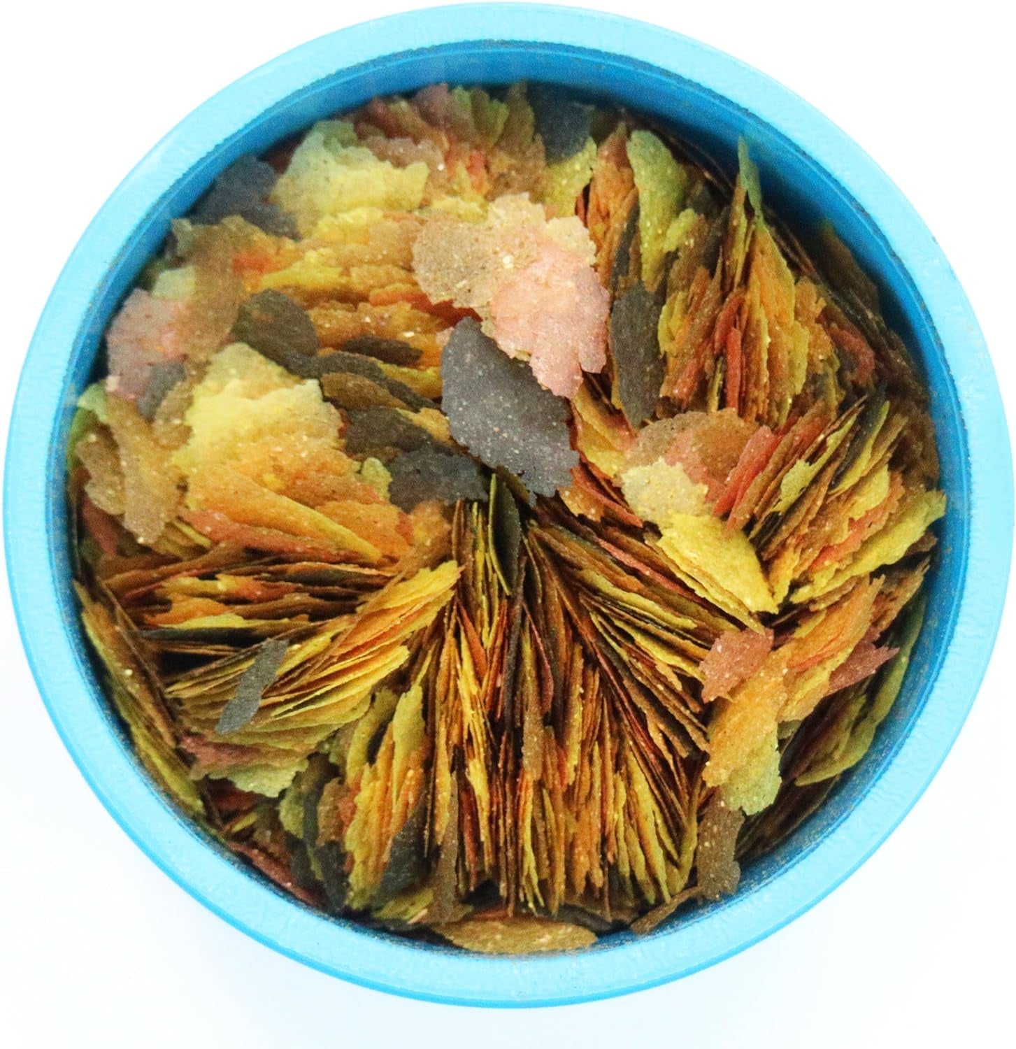 Complete Nutrition, Aquarium Tropical & Temperate Fish Food Flakes, 50G Container