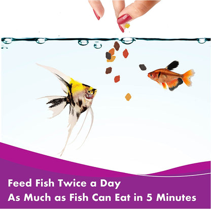 Complete Nutrition, Aquarium Tropical & Temperate Fish Food Flakes, 50G Container