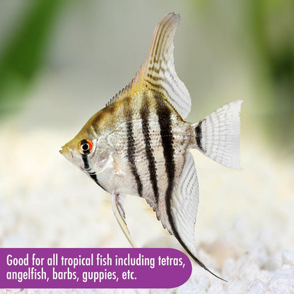 Complete Nutrition, Aquarium Tropical & Temperate Fish Food Flakes, 50G Container