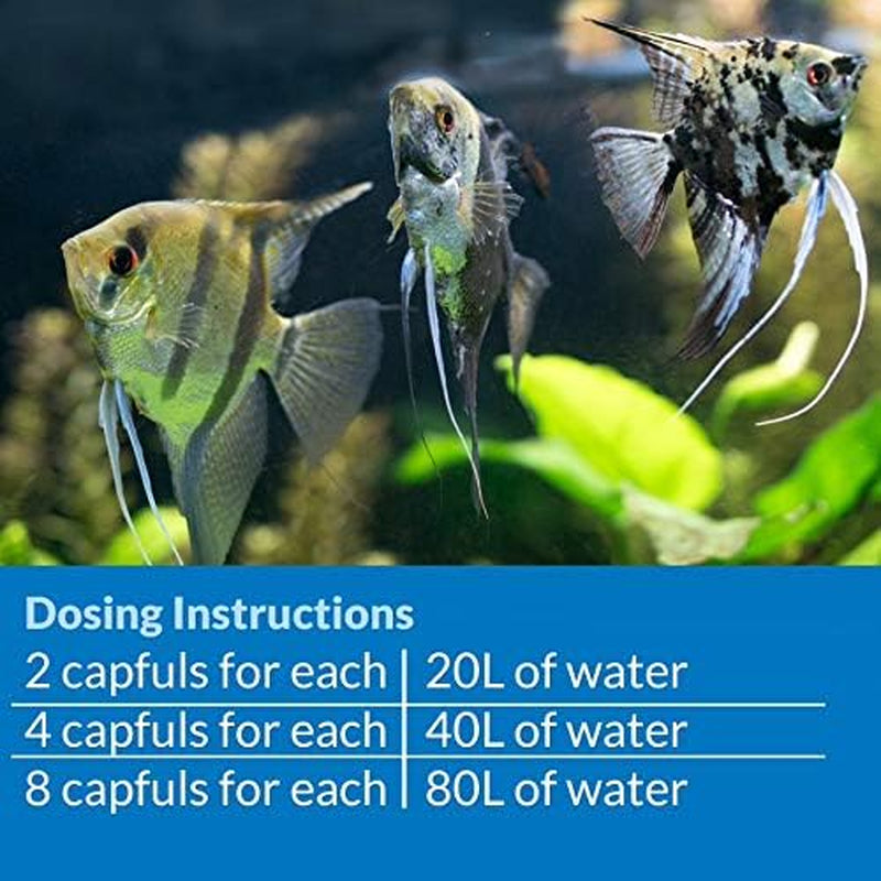 TAP WATER SAFE, Aquarium Water Conditioner, 118 Ml Bottle,White