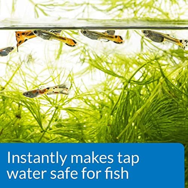TAP WATER SAFE, Aquarium Water Conditioner, 118 Ml Bottle,White