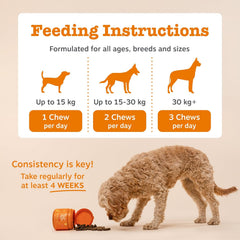 Zesty Paws Probiotic Chews for Dogs | Supports Gut Health, Stool Quality & Digestive Balance, Bad Breath| Contains Prebiotics, Probiotics & Postbiotics, Pumpkin & Linseed | Daily Use | 90 Chews