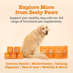 Zesty Paws Probiotic Chews for Dogs | Supports Gut Health, Stool Quality & Digestive Balance, Bad Breath| Contains Prebiotics, Probiotics & Postbiotics, Pumpkin & Linseed | Daily Use | 90 Chews