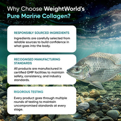 Pure Marine Collagen Supplements for Women & Men - 120 Capsules - 1200mg Per Serving - 2 Months Supply- Highly Bioavailable Type 1 & 3 Hydrolysed Fish Collagen Peptides