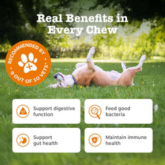 Zesty Paws Probiotic Chews for Dogs | Supports Gut Health, Stool Quality & Digestive Balance, Bad Breath| Contains Prebiotics, Probiotics & Postbiotics, Pumpkin & Linseed | Daily Use | 90 Chews